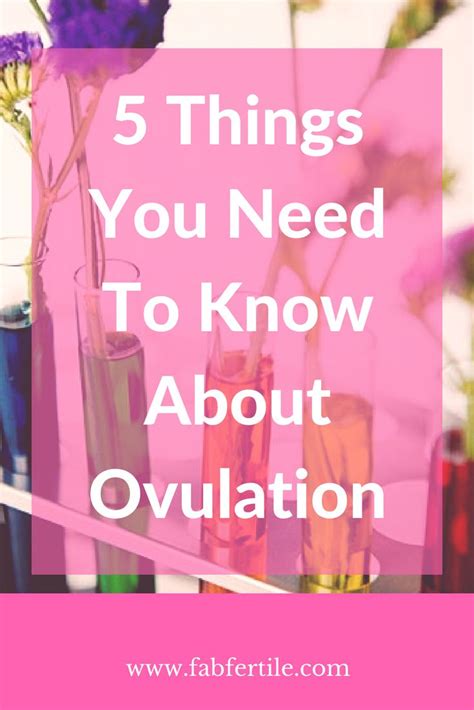 What Is Ovulation And Why Is It So Important Fab Fertile Inc What Is Ovulation Getting