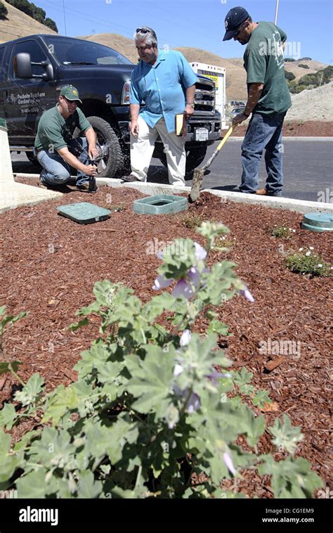 George Pacheco Center Owner Of Pacheco Brothers Landscaping