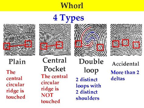 Chapter 4 — Fingerprints Fingerprint An Imprint Made