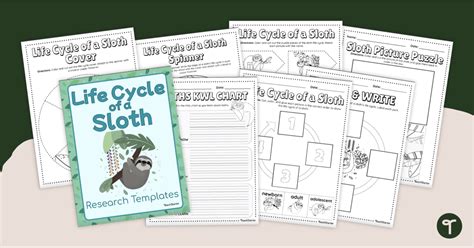 All About Sloths - Animal Life Cycle Worksheets | Teach Starter