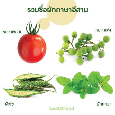 ผักอีตูมีประโยชน์อย่างไรสำหรับสุขภาพของคุณ