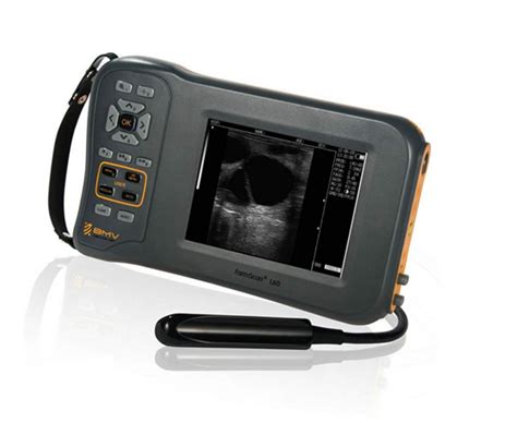 Ecógrafo Veterinario Farmscan L60 RL con 1 transductor a elección