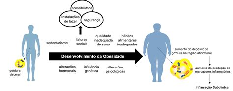 Obesidade é Uma Doença E Deve Ser Tratada Como Tal