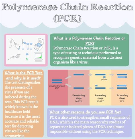 Polymerase Chain Reaction Pcr — Biotech And Global Health Outreach