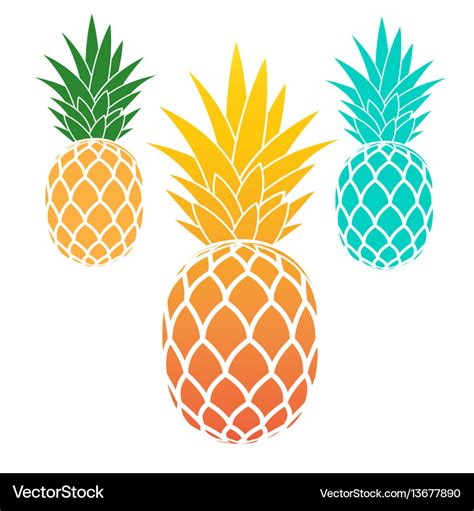 Pineapple Vector