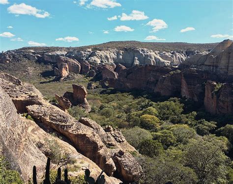 America S Oldest Art The Rock Art Of Serra Da Capivara