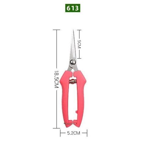 Sécateur à Crémaillère Ciseaux de jardinage pour la cueillette de