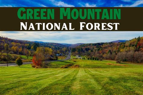 Vermont’s Awesome and Wonderful Green Mountain National Forest