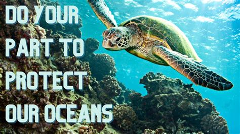 Video 11 Do Your Part To Protect Our Oceans Youtube