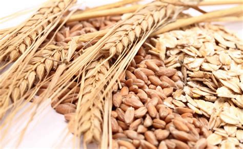 Wheat Allergies Signs Symptoms And Management Americas Best Care Plus