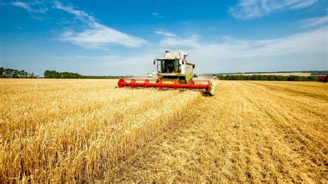 Ley Mnibus Bronca Y Preocupaci N En El Campo Por La Suba De