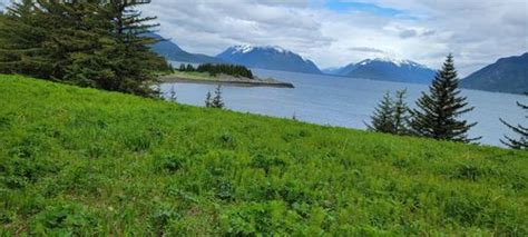 Best Hikes And Trails In Chilkat State Park AllTrails