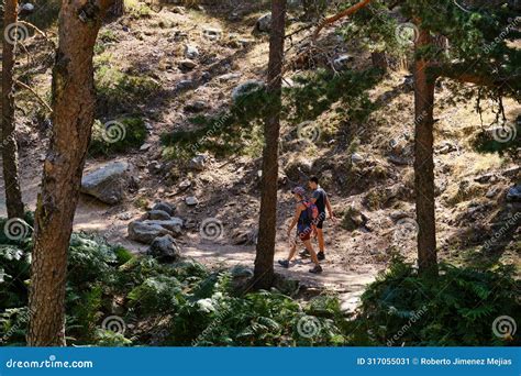 Mother and Child Exploring the Forest Stock Image - Image of adventure ...