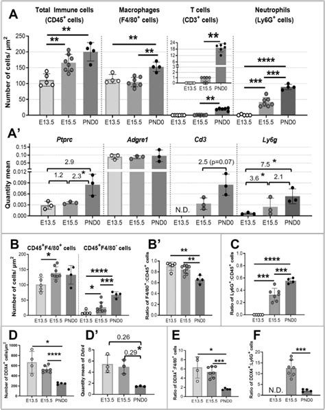 The Changing Landscape Of Immune Cells In The Fetal Mouse Testis