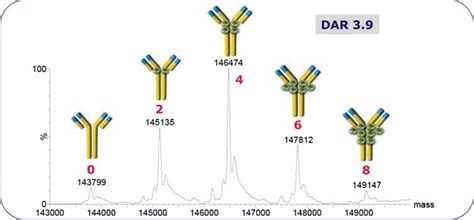 Antibody Drug Conjugate Mimic Enables Lc Ms Method Development Without Risk