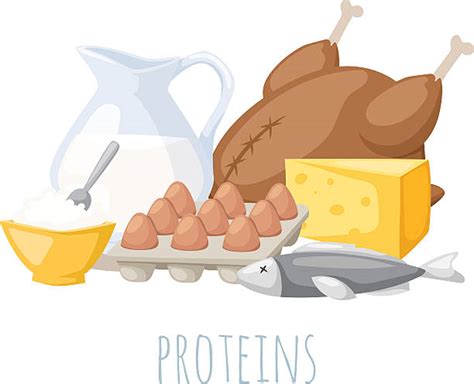 Protein Clip Art, Vector Images & Illustrations - iStock