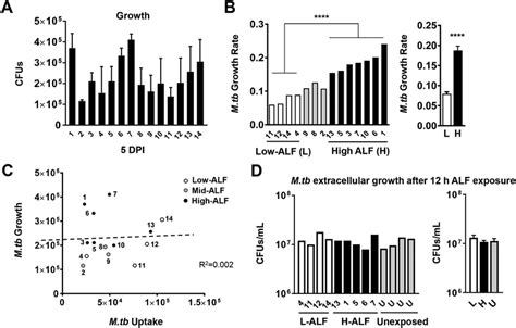 Human Alveolar Lining Fluid Drives Mtb Growth In Ats A Alf Exposed