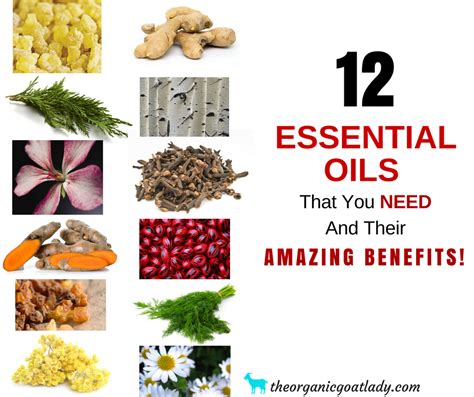 12 Essential Oils That You Need And Their Amazing Benefits The Organic Goat Lady