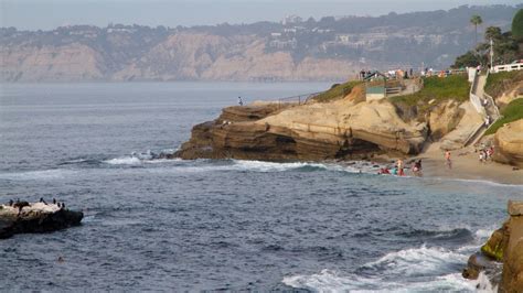 La Jolla Cove Pictures: View Photos & Images of La Jolla Cove