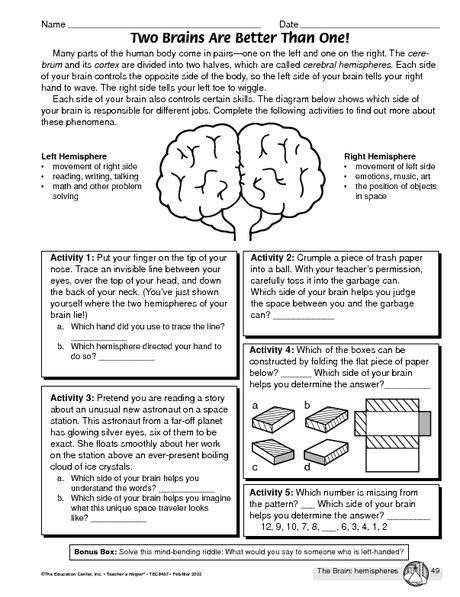 Brain Hemispheres Disability Awareness, Science Worksheets, Hemisphere ...