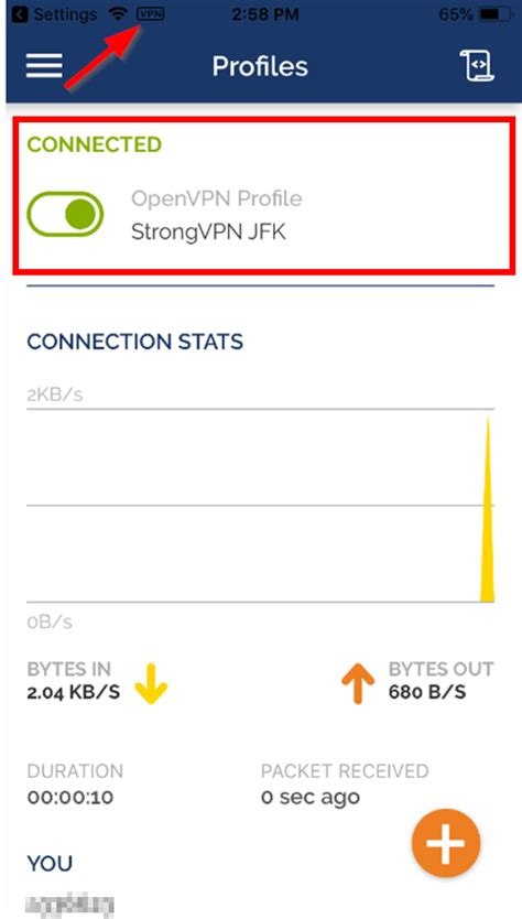 Ios Openvpn Connect App Setup Strongvpn