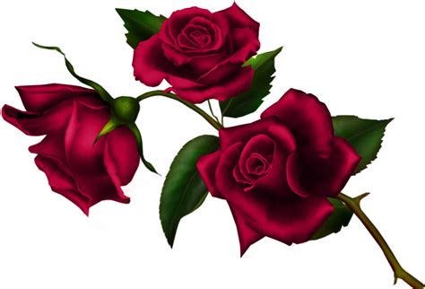 Gothic Rose Clip Art