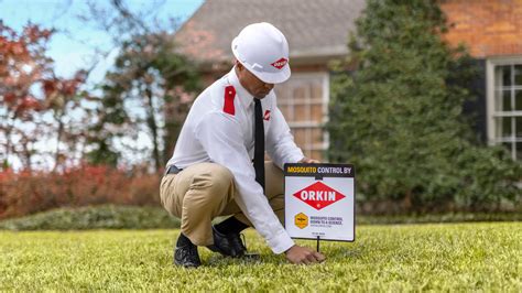 orkin pest control cost staysafeorg