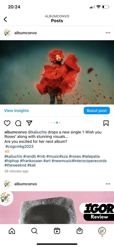 Made a post on the I Wish you Roses visuals for my college course ...