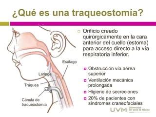 Cuidados de Traqueostomía Pediátrica PPT