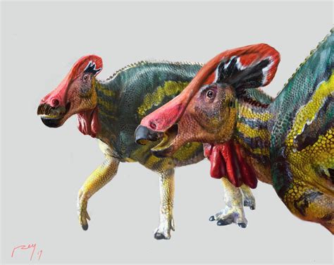 Identifican Nueva Especie De Dinosaurio En México Contramuro