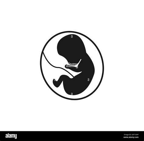 Fetus Black And White Stock Photos Images Alamy