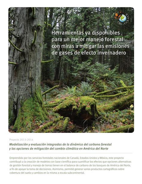 Pdf Herramientas Ya Disponibles Para Un Mejor Manejo Forestal