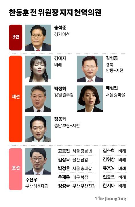 단독 尹최측근 주진우도 한동훈 지지현역의원 17명이 돕는다 중앙일보