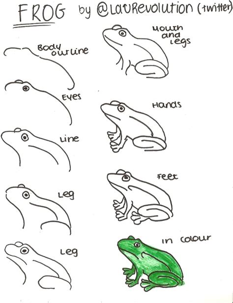 How To Draw A Cartoon Frog | Images and Photos finder