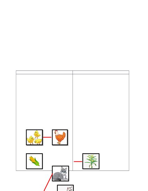 Detailed Lesson Plan Science 5 Reproductive System Beed 3 A Detailed Lesson Plan In Science