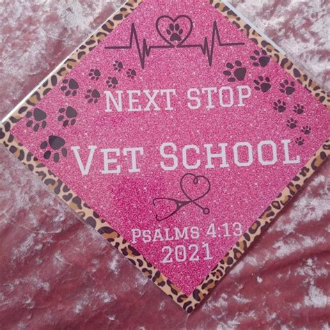 Vet Graduation Cap Design Etsy