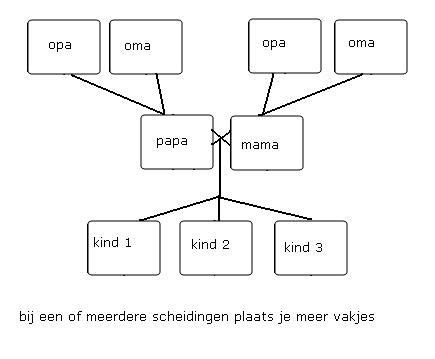 Hoe Simpele Stamboom Maken Met Kinderen Hobby Blogo Nl Diagram