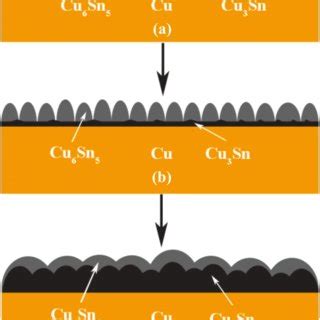 The Morphology Of Interfacial Imc Layer At Different Bonding Time A