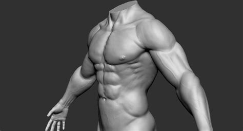 Cuerpo Humano Musculoso Modelo 3D 39 Ztl Obj Free3D