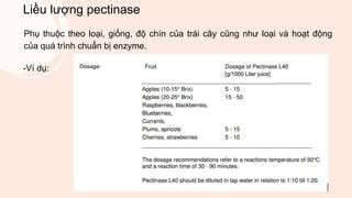 Enzyme Pectinase Pptx