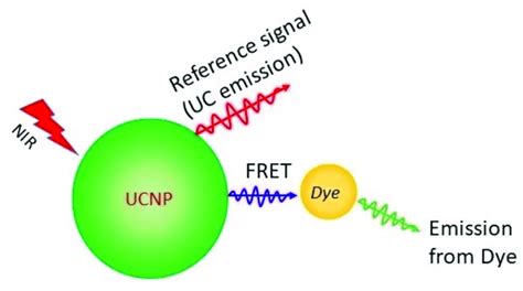 Schematic Representation Of Upconversion Sensitized Ph Sensor The