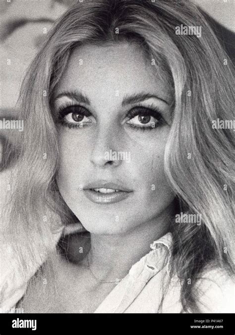 Stars Sharon Tate Stock Photo Alamy