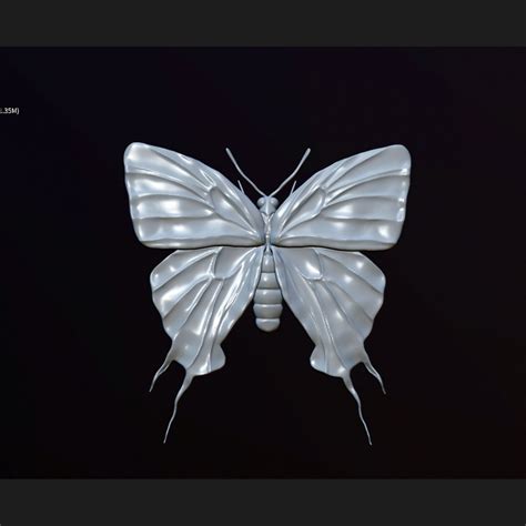 Crowned Hairstreak Butterfly 3d Turbosquid 2060489