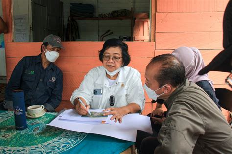 Ppid Kementrian Lingkungan Hidup Dan Kehutanan Menteri Lhk Tekankan