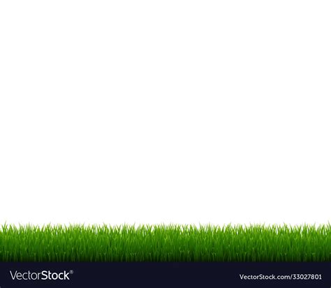 Green Grass Frame Isolated White Background Vector Image