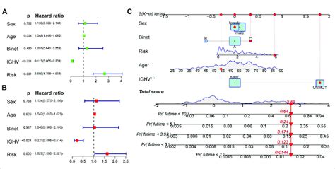 Univariate Multivariate Cox Regression Analyses And Construction Of