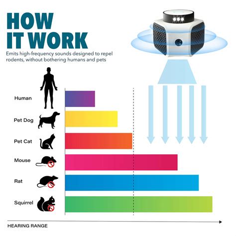 Do Ultrasonic Pest Repellers Work on Bed Bugs? - Thanos Home