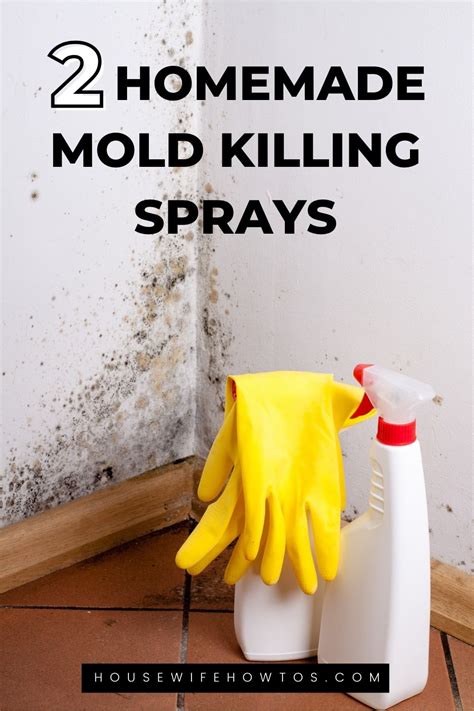 Fight Mold Like A Pro Essential Tips And Diy Sprays For Removing Mold