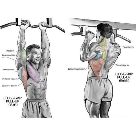 Blast Your Upper Body With Close Grip Pull Ups Xbodyconcepts Biceps