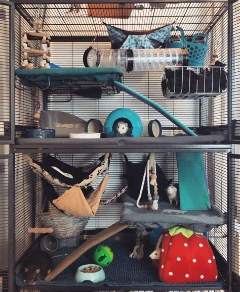 rat cage setup ideas rat cage pet rats pet rat cages